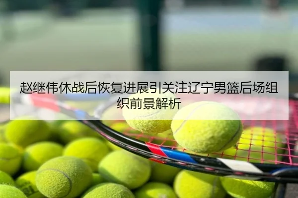 赵继伟休战后恢复进展引关注辽宁男篮后场组织前景解析